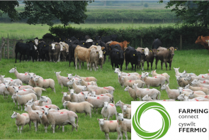 People discussing some ideas whilst in a tractor