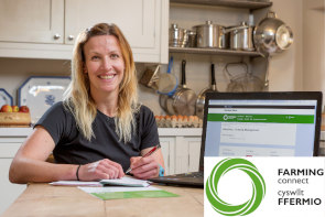 A lady studying in her kitchen